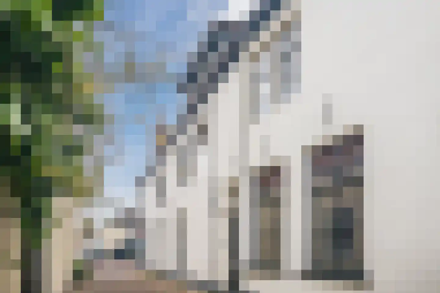 Melatensteeg 5 Zutphen thumbnail 49