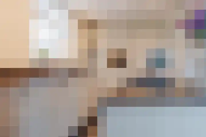 Melatenweg 5 Horst thumbnail 14