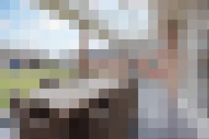Melatenweg 5 Horst thumbnail 27