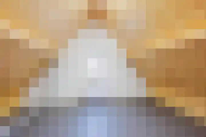 Melatenweg 5 Horst thumbnail 39