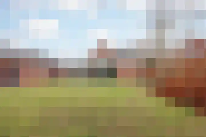 Melatenweg 5 Horst thumbnail 43