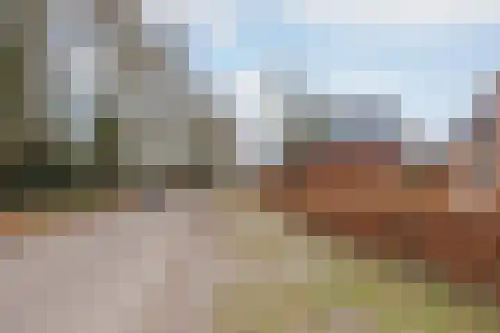 Melatenweg 5 Horst thumbnail 61