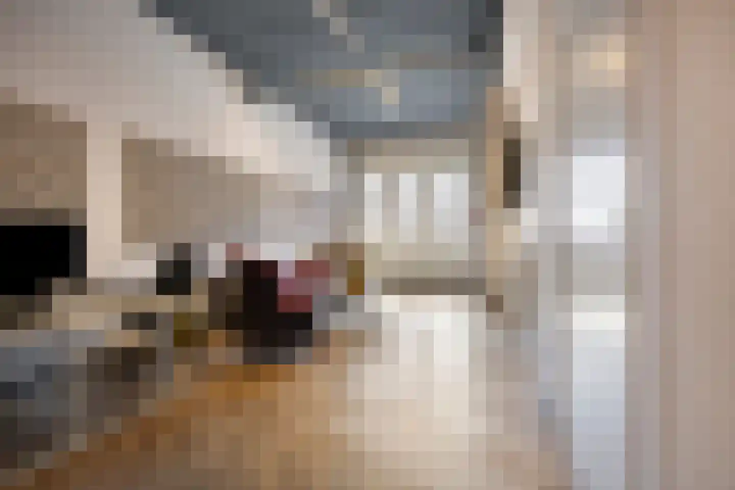 Melbournestraat 21 Lijnden thumbnail 14