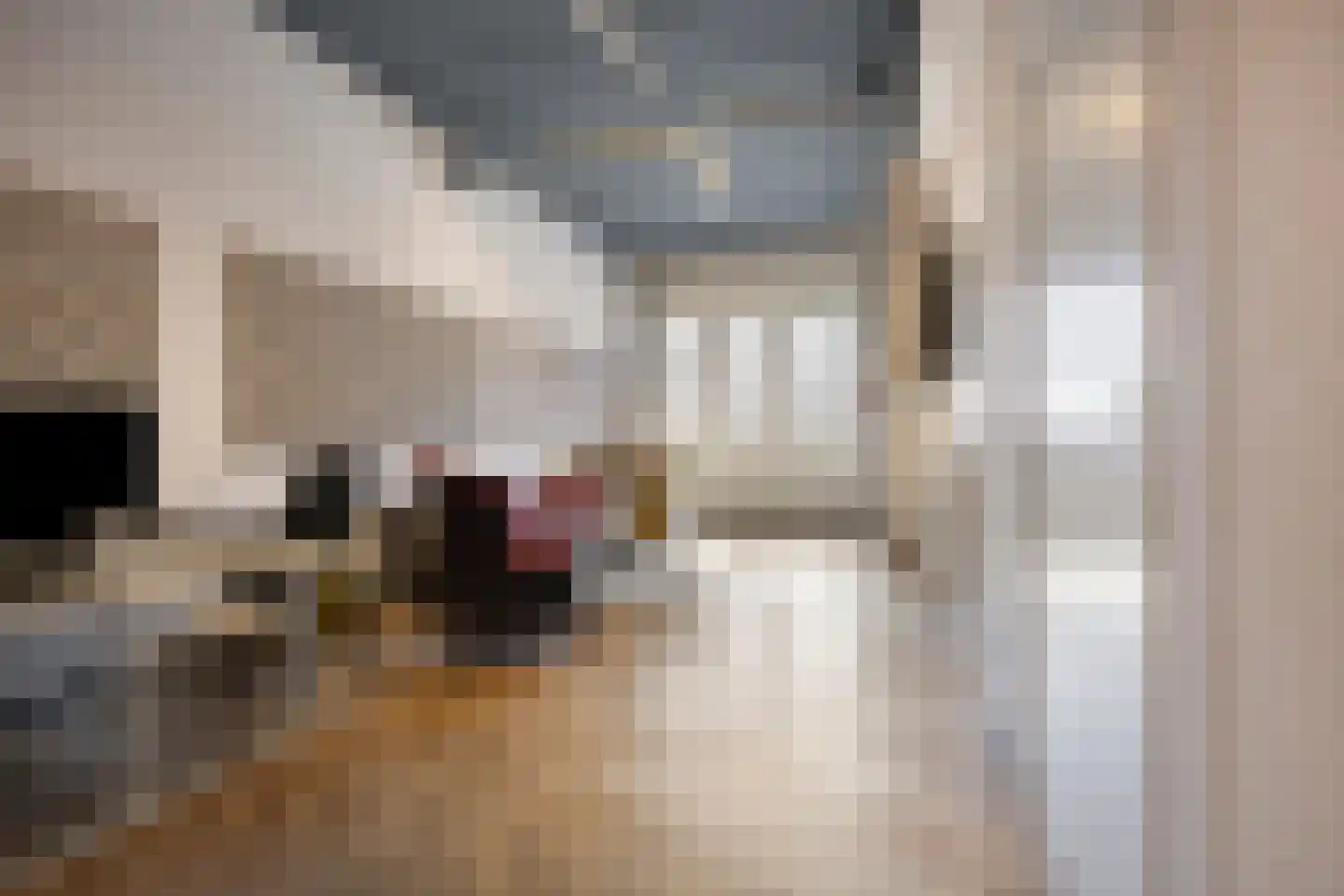 Melbournestraat 21 Lijnden thumbnail 14