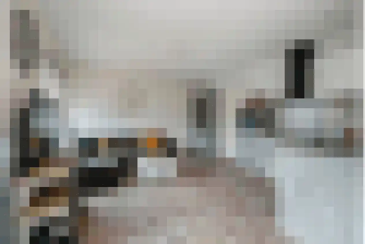 Melbournestraat 32 Purmerend thumbnail 6