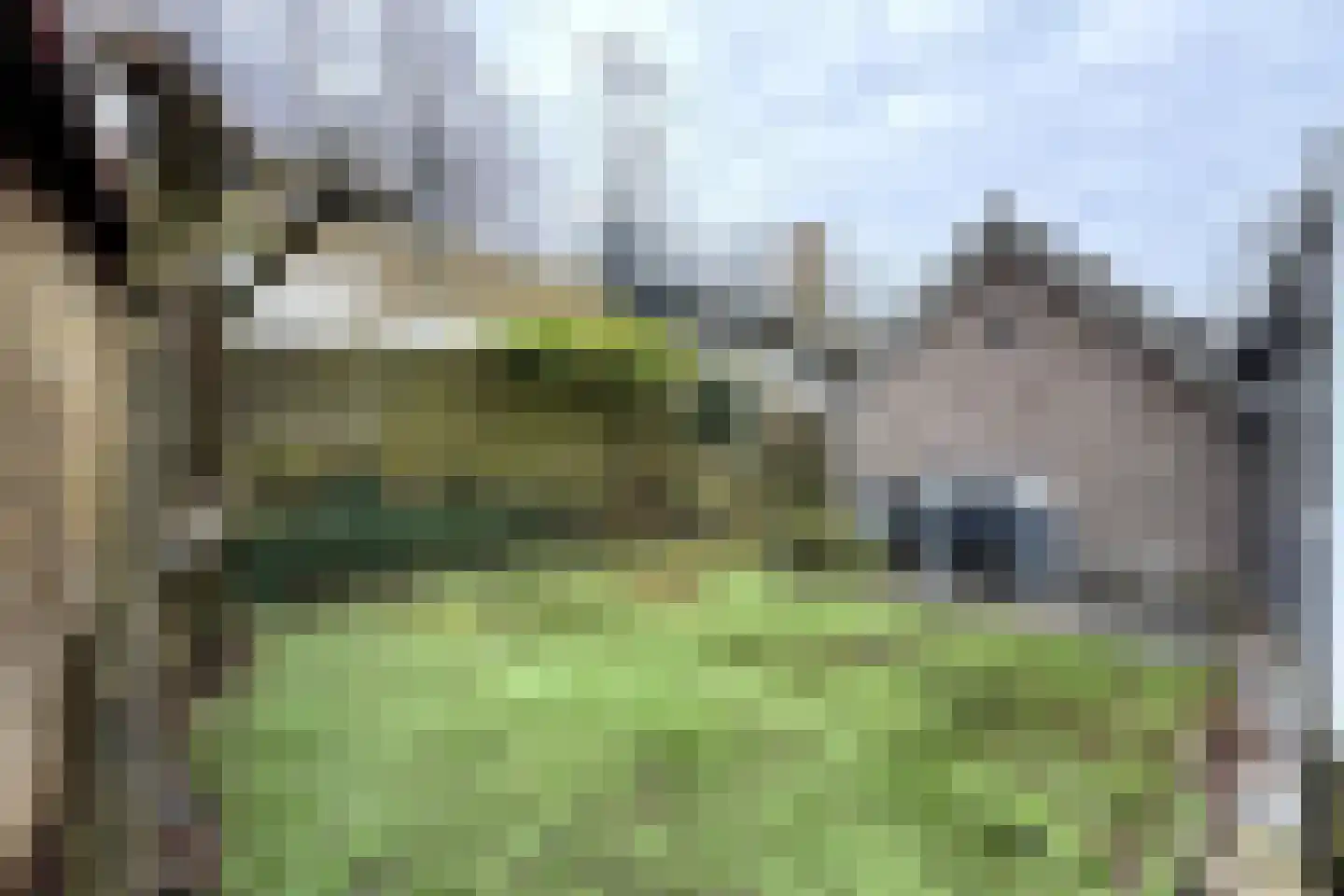 Melchersstraat 9 Landgraaf thumbnail 37