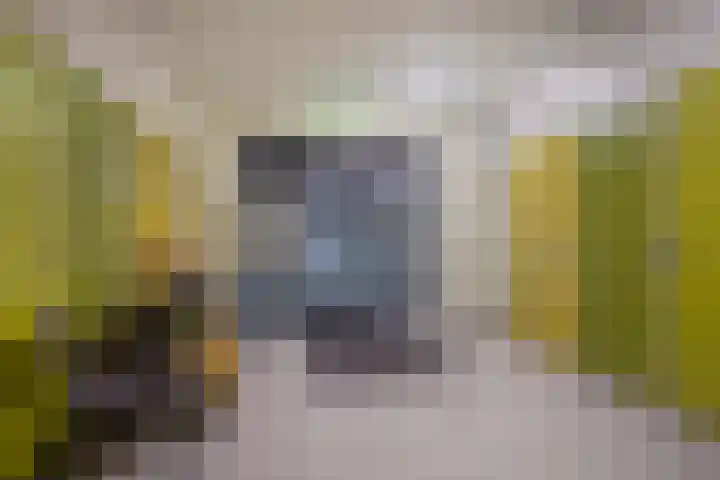 Melchertstraat 4 d Someren thumbnail 11