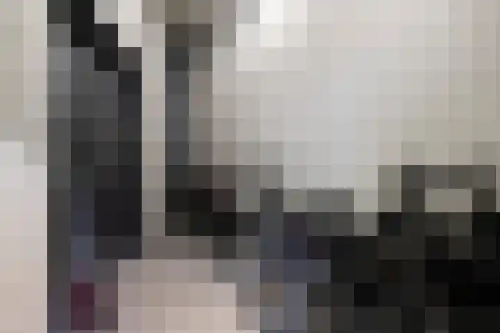 Melchertstraat 4 d Someren thumbnail 12