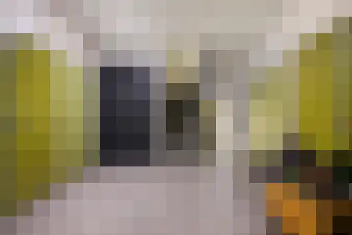 Melchertstraat 4 d Someren thumbnail 13