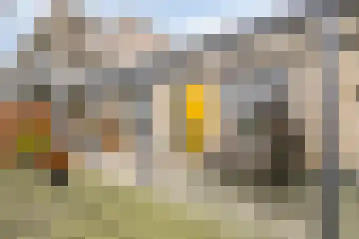Melchertstraat 4 d Someren thumbnail 14