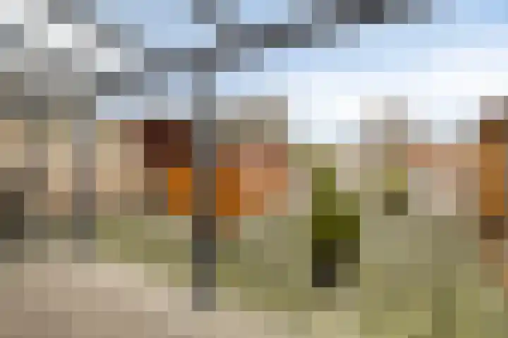 Melchertstraat 4 d Someren thumbnail 17