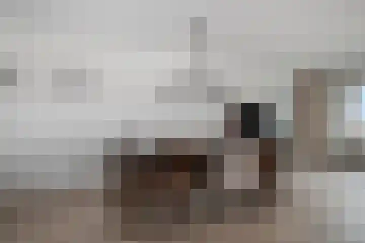 Melchertstraat 4 d Someren thumbnail 25
