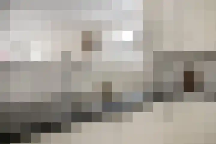 Melchertstraat 4 d Someren thumbnail 27