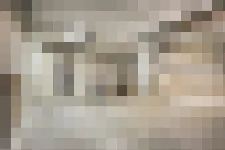Melchertstraat 4 d Someren thumbnail 38