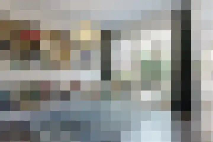 Melchior Treublaan 48 Leiden thumbnail 13