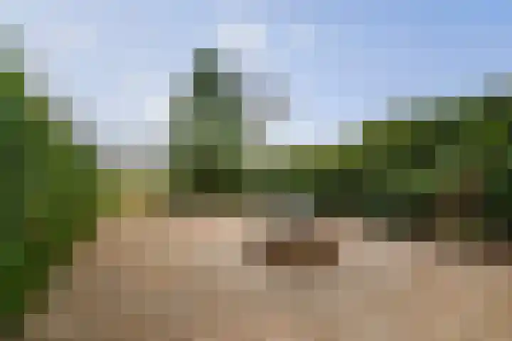 Melchior van Brielstraat 21 Diepenveen thumbnail 12
