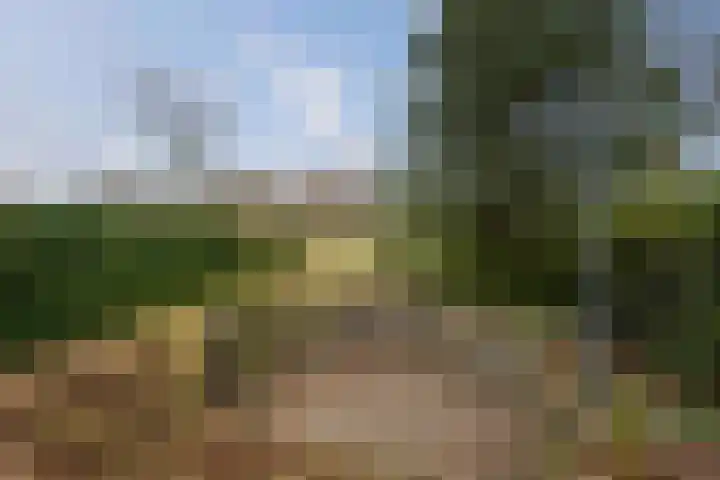 Melchior van Brielstraat 21 Diepenveen thumbnail 13