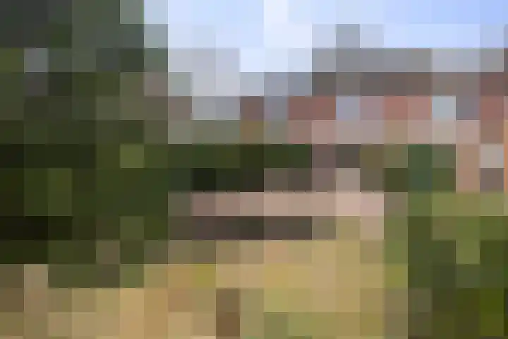 Melchior van Brielstraat 21 Diepenveen thumbnail 14