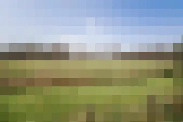 Melchior van Brielstraat 21 Diepenveen thumbnail 16