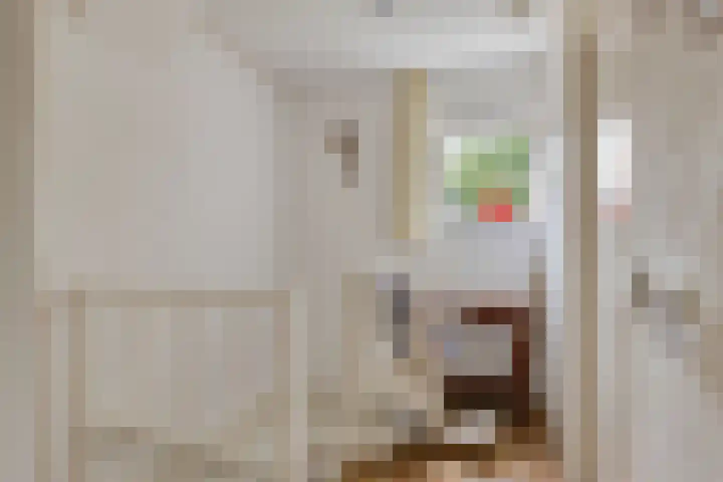 Melchior van Brielstraat 5 Diepenveen thumbnail 17