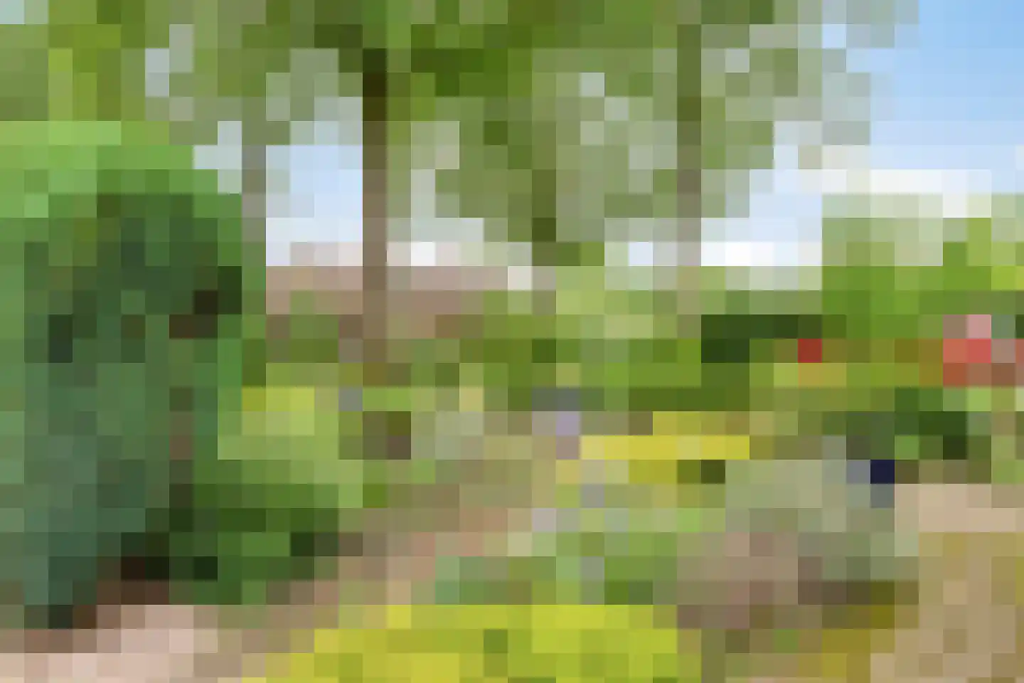 Melchior van Brielstraat 5 Diepenveen thumbnail 31