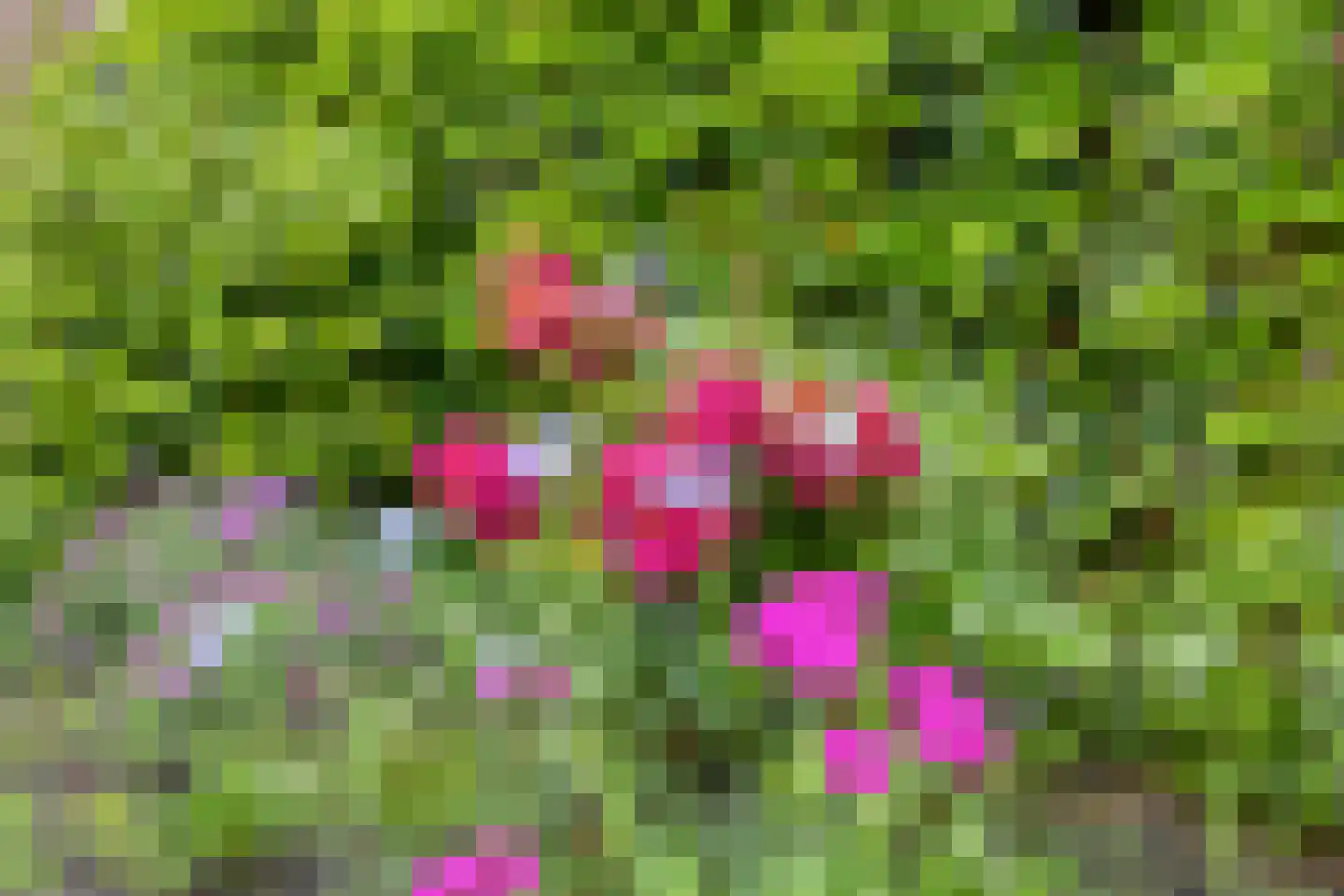 Melchior van Brielstraat 5 Diepenveen thumbnail 32
