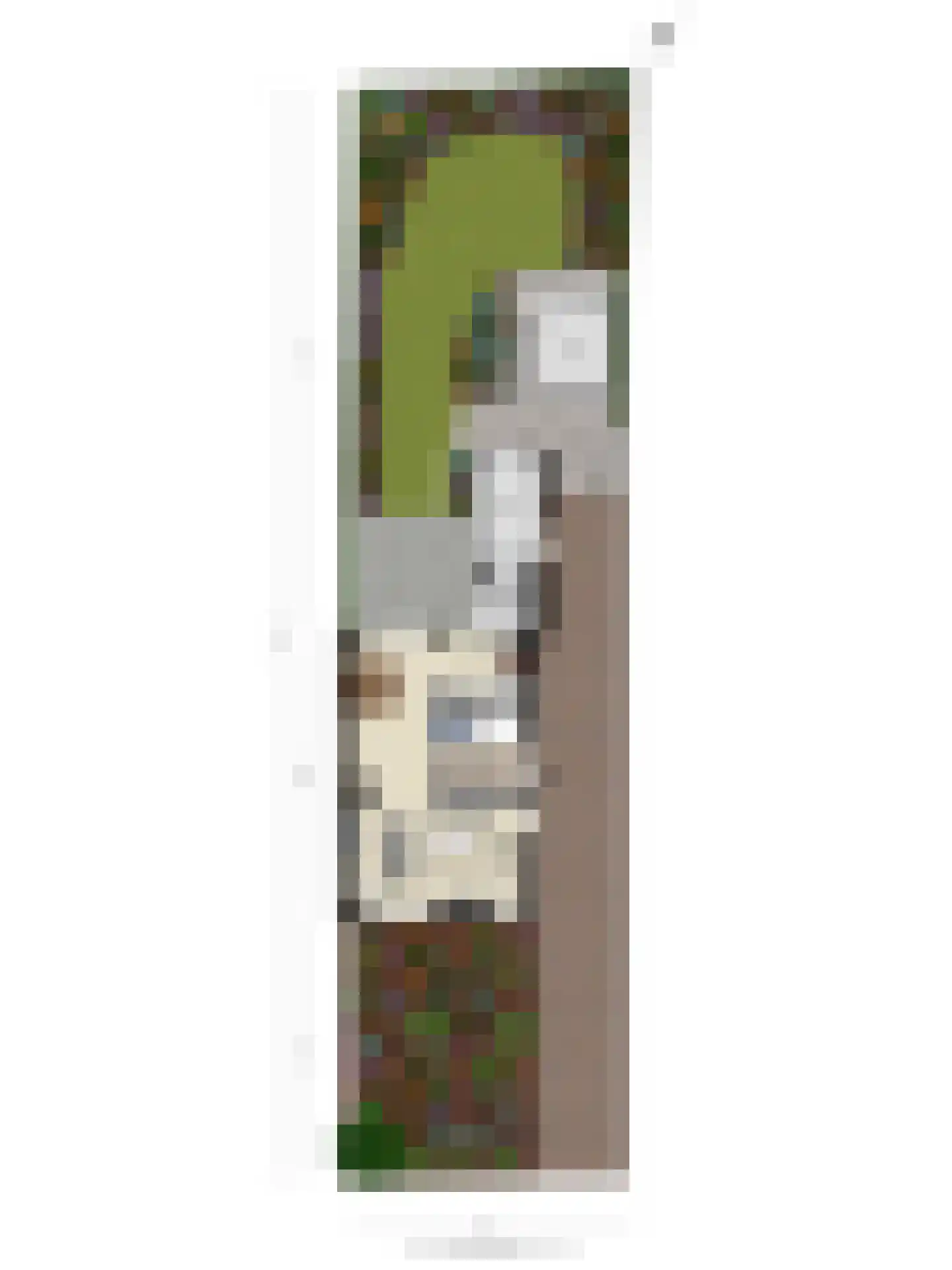 Melchior van Brielstraat 5 Diepenveen thumbnail 37