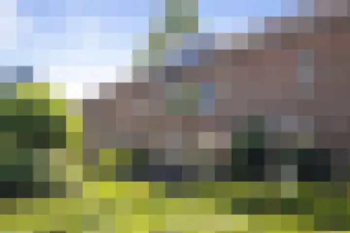 Melchior van Brielstraat 8 in Diepenveen