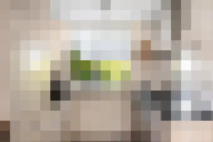 Melchior van Brielstraat 8 Diepenveen thumbnail 10
