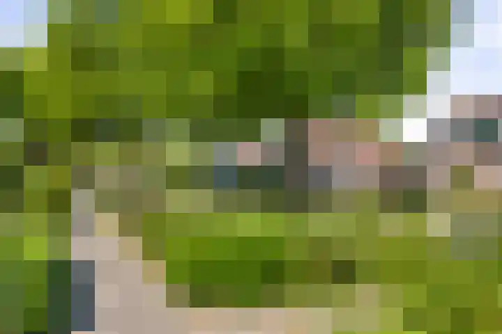 Melchior van Brielstraat 8 Diepenveen thumbnail 23