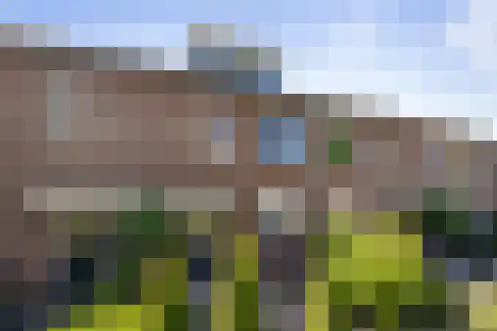 Melchior van Brielstraat 8 Diepenveen thumbnail 25