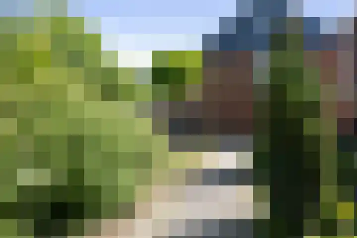 Melchior van Brielstraat 8 Diepenveen thumbnail 28