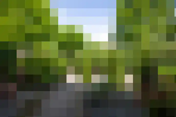 Melchior van Brielstraat 8 Diepenveen thumbnail 29