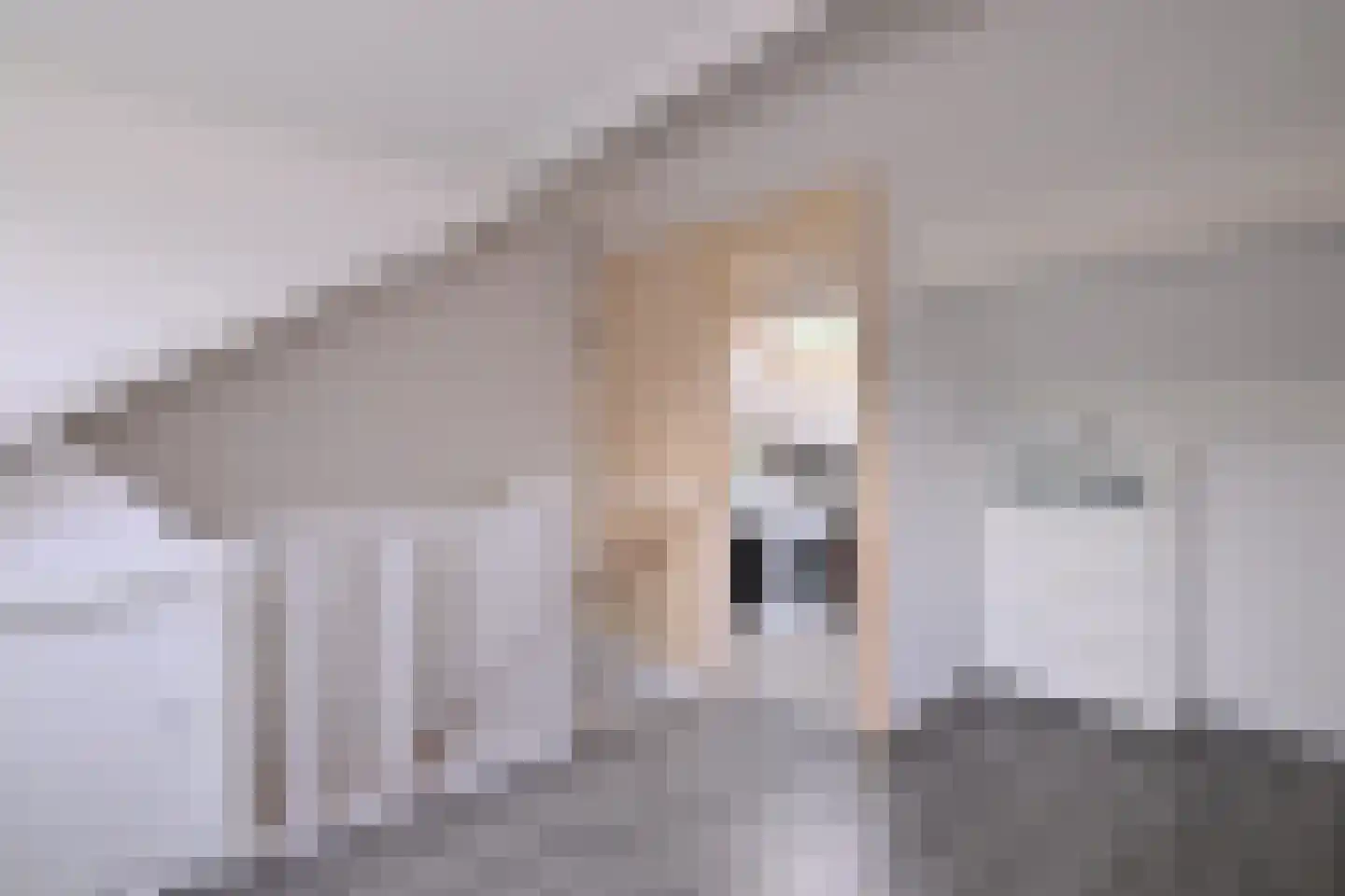 Melchior van Brielstraat 8 Diepenveen thumbnail 31