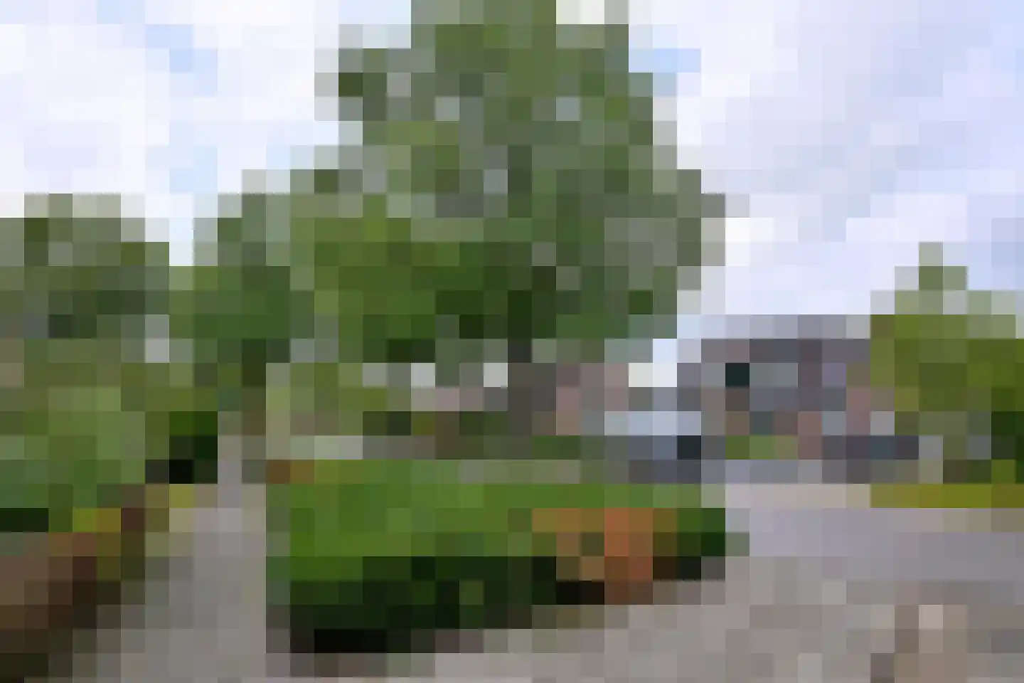 Melchior van Brielstraat 8 Diepenveen thumbnail 32