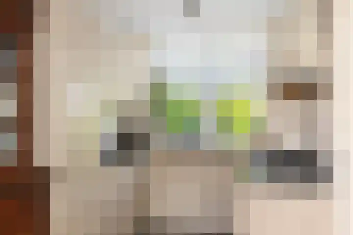 Melchior van Brielstraat 8 Diepenveen thumbnail 9
