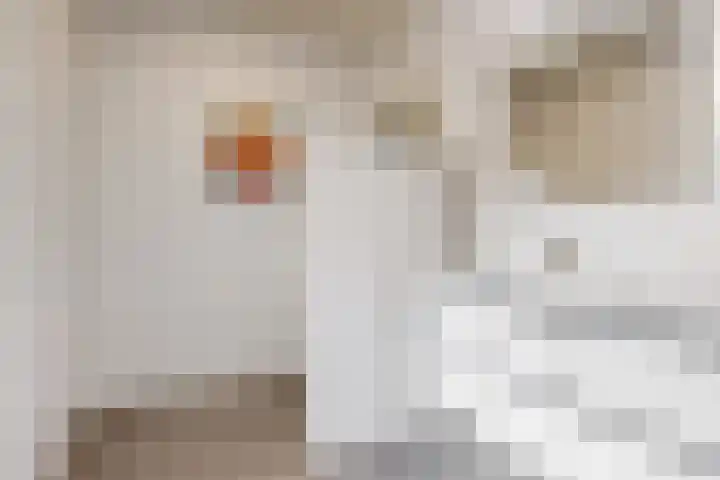 Melchiorlaan 13 Bilthoven thumbnail 36