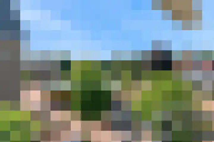 Melchiorlaan 13 Bilthoven thumbnail 40