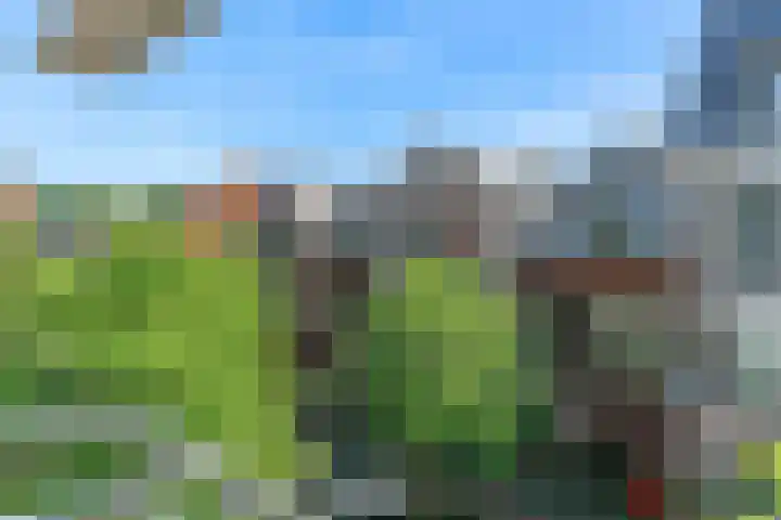 Melchiorlaan 13 Bilthoven thumbnail 41