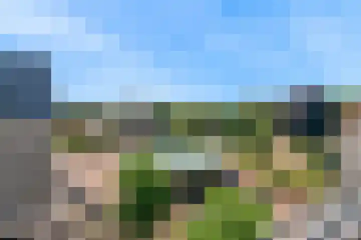Melchiorlaan 13 Bilthoven thumbnail 46