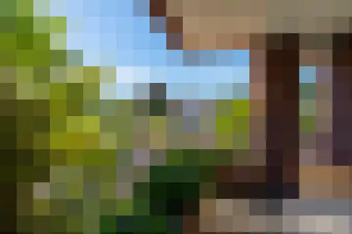Melchiorlaan 5 Bilthoven thumbnail 20