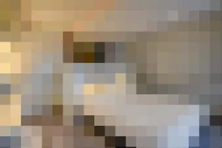 Melchiorlaan 5 Bilthoven thumbnail 23