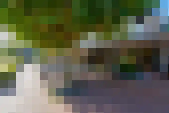 Melchiorlaan 5 Bilthoven thumbnail 40