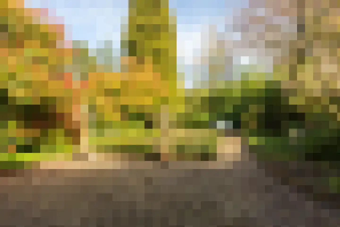 Melchiorstraat 20 Kerkrade thumbnail 19