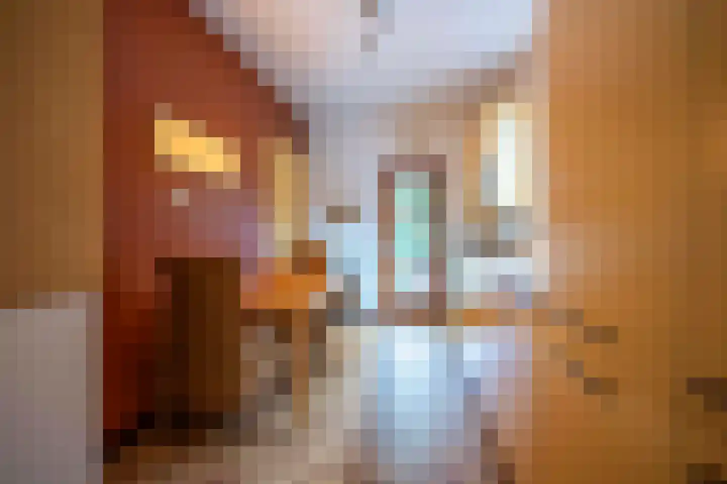 Melchiorstraat 20 Kerkrade thumbnail 8