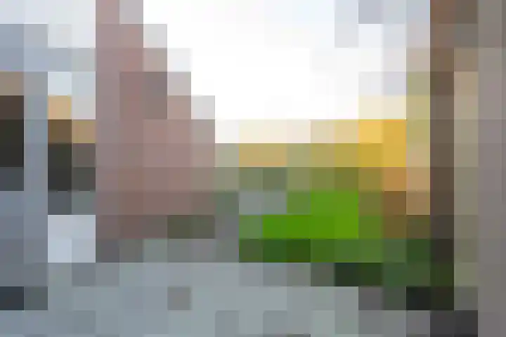Melchiorstraat 22 Oudesluis thumbnail 13