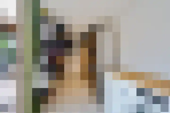 Melchiorstraat 50 Oudesluis thumbnail 13