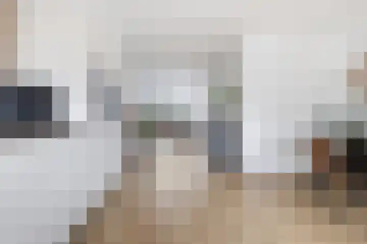 Melcolaan 33 Heiloo thumbnail 10