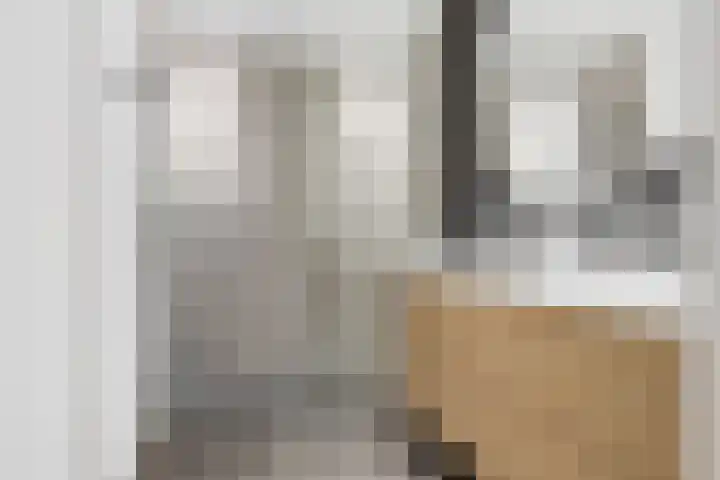 Melcolaan 33 Heiloo thumbnail 30