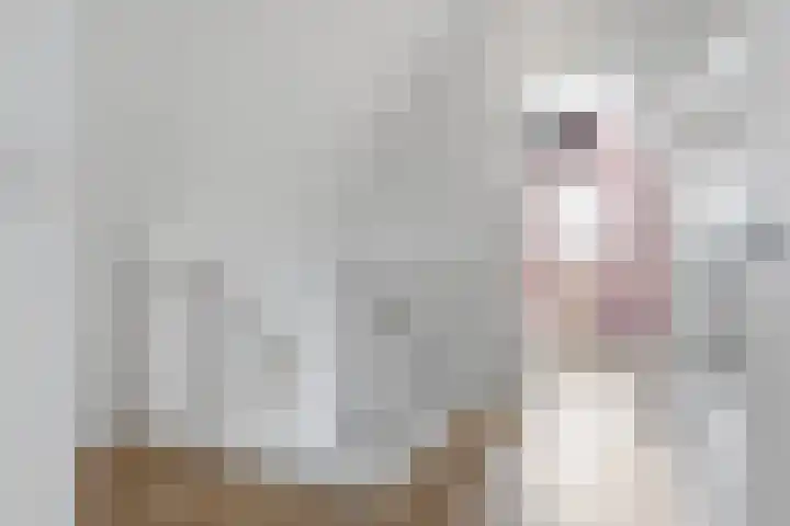 Melcolaan 33 Heiloo thumbnail 33